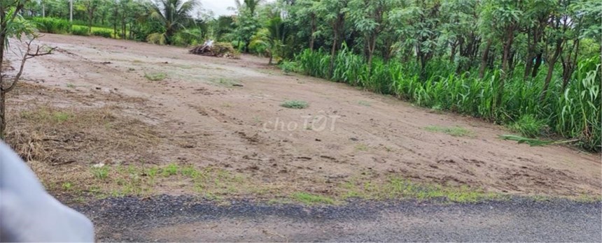 ĐẤT CHÍNH CHỦ - Cần Bán Lô Đất Đường nhựa Bà Lãnh Ông Gồng, Gò Công Đông, Tiền Giang