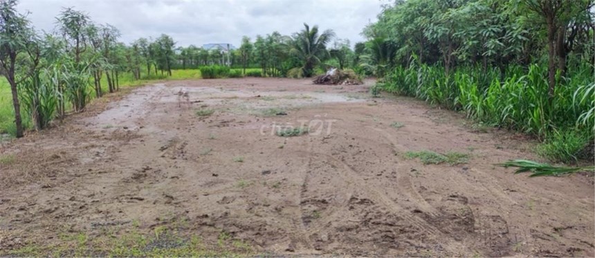 ĐẤT CHÍNH CHỦ - Cần Bán Lô Đất Đường nhựa Bà Lãnh Ông Gồng, Gò Công Đông, Tiền Giang