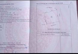 Chính chủ cần bán đất điạ chỉ: Thôn 7 xã Quỳnh Vinh, Thị xã Hoàng Mai, tỉnh Nghệ An