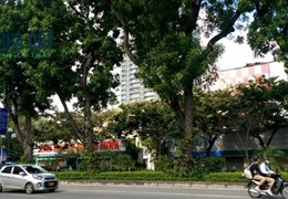 NHÀ 5 TẦNG 3 NGỦ KINH DOANH BUÔN GIÁ:3.45 TỶ PHỐ GIẢNG VÕ QUẬN BA ĐÌNH HÀ NỘI.