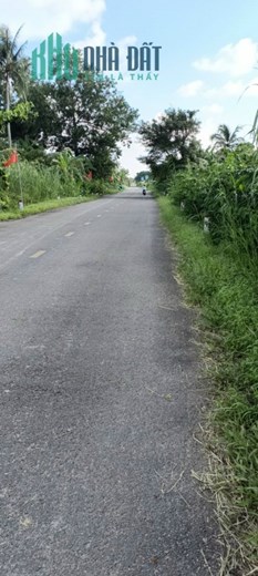 ĐẤT CHÍNH CHỦ - Cần Bán Nhanh Lô Đất Tại Sào Lưới B - Khánh Bình Tây Bắc - Trần Văn Thời - Cà Mau