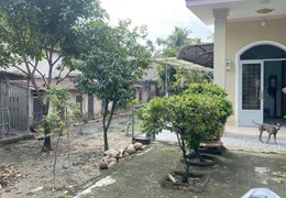 Ngộp Quá Khách Ơi Mặt Tiền Thạnh Lộc Q12-1022m2 Chỉ 23 Tỷ TL Tốt