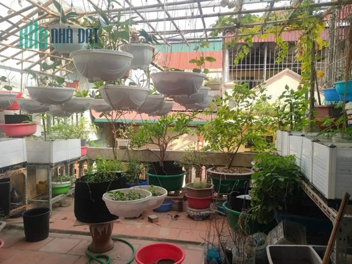 HOÀNG VĂN THÁI PL Ô TÔ CHẠY VÒNG QUANH 50M 4T MT4M GIÁ CHỈ 5 TỶ 5