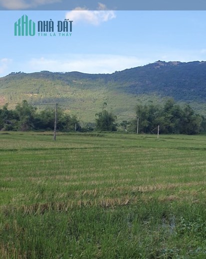 Cần bán lô đất rẻ nhất khu vực thuộc Phước Thành, Tuy Phước, Bình Định  #350tr