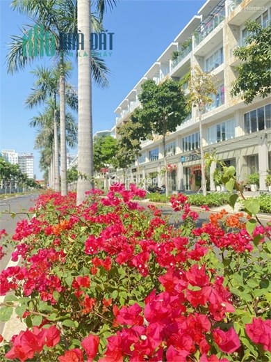 Shophouse Sang Trọng Tại Vị Trí Đắc Địa - Vị Trí Nguyễn Cơ Thạch Quận 2