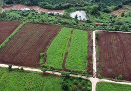 Đất vườn 1000m Đường ô tô giá 260tr sổ hồng - Gia lai