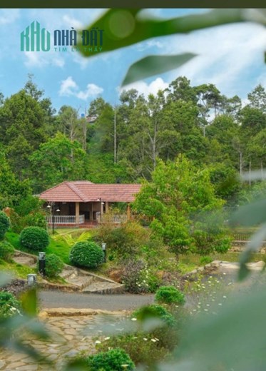 ĐẤT CHÍNH CHỦ - GIÁ TỐT -  Bán Nhanh Đất Tặng  Biệt Thự Sân Vườn Tại QL 20 Trung Tâm Tp Bảo Lộc
