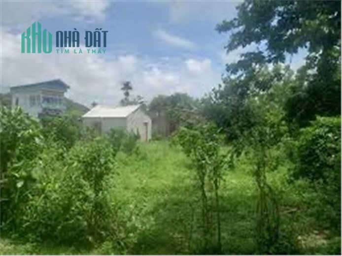 ĐẤT ĐẸP - GIÁ TỐT - Bán Nhanh Lô Đất Vị Trí Đắc Địa Tại Đường 442, Thượng Mỗ, Đan Phượng, Hà Nội