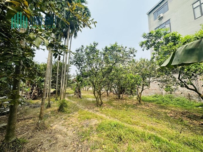 ĐẤT ĐẸP - GIÁ TỐT - Bán Nhanh Lô Đất Vị Trí Đắc Địa Tại Đường 442, Thượng Mỗ, Đan Phượng, Hà Nội