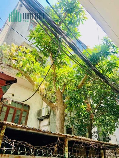 Bán Đất Tặng Nhà 3 tầng Mặt Phố Lạc Long Quân 184m2, nhà cấp 4 nên chủ nhà xác định bán đất cho các