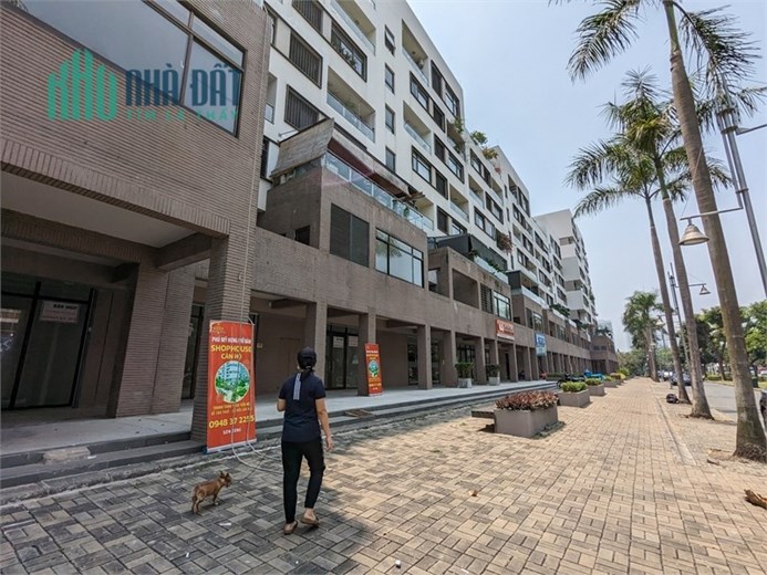 Cho Thuê Shophouse và Văn Phòng Tại Đường Số 10, An Lợi Đông, Quận 2