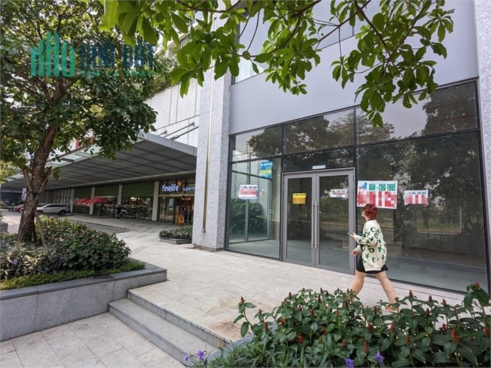 Cho Thuê Các Tầng Shophouse Tại Đường Số 10, An Lợi Đông, Quận 2