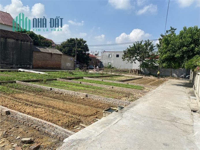 Rẻ Đẹp nhất làng bán 120m Yên Ninh - Hiền Ninh - Sóc Sơn - Hà Nội, Chỉ 9tr/m2