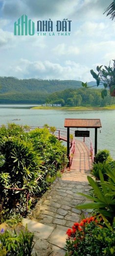 Cần bán đất 17,600m2 đất cây lâu năm kèm đất ở tại khu Tân Lập 2, Phương Đông, TP Uông Bí, tỉnh