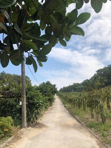 Cần bán đất 17,600m2 đất cây lâu năm kèm đất ở tại khu Tân Lập 2, Phương Đông, TP Uông Bí, tỉnh