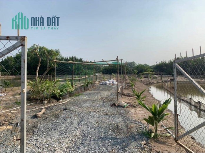 Bán lô đất thổ phân lô mặt tiền đê bao giá 7,5 tỷ