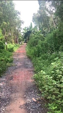Chính chủ cần bán lô đất nền tại Vĩnh Lộc B, Bình Chánh