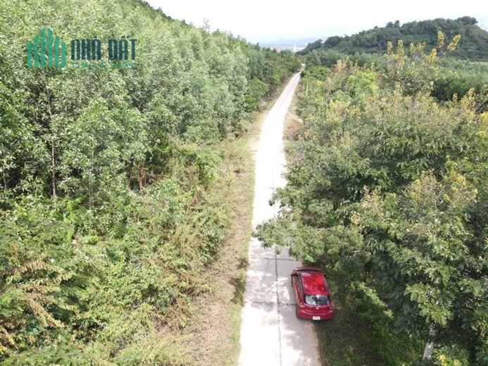 CHÍNH CHỦ BÁN 2 LÔ ĐẤT TẠI KRÔNG PẮC, ĐẮC LẮK SỔ HỒNG RIÊNG GIÁ CHỈ 359TR