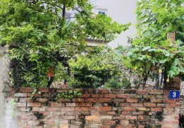 Bán đất Tư Đình, Long Biên, phân lô quân đội A38, ô tô vào nhà, gần sân golf Long Biên, siêu thị