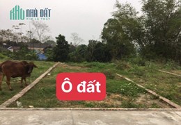 Tôi bán gấp lô đất thị trấn
Đại Đình Tam Đảo giá 500 triệu đã có sổ đỏ lh 0982700605
