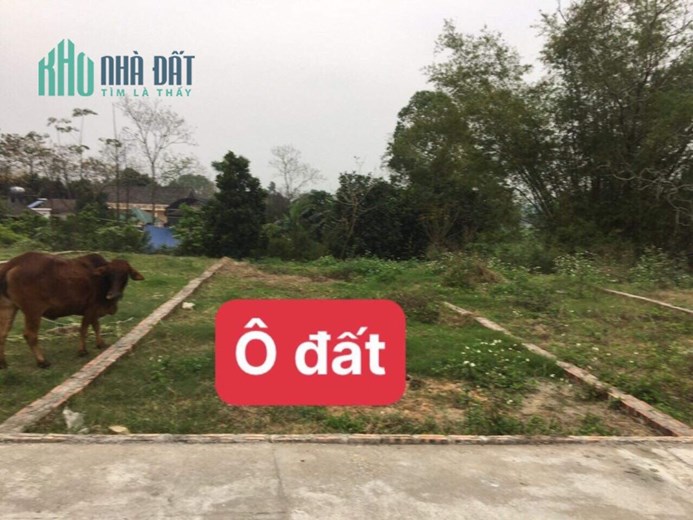 Tôi bán gấp lô đất thị trấn
Đại Đình Tam Đảo giá 500 triệu đã có sổ đỏ lh 0982700605