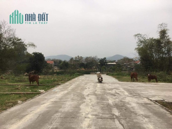 Tôi bán gấp lô đất thị trấn
Đại Đình Tam Đảo giá 500 triệu đã có sổ đỏ lh 0982700605