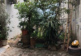 Bán đất Lĩnh Nam, Hoàng Mai, gần phố, ngõ thẳng tắp, phù hợp xây CCMN 54 m2, 3 tỷ 750