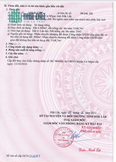ĐẤT ĐẸP - GIÁ TỐT - Cần bán 2 lô đất liền kề 3 mặt tiền 800m² thổ cư  Xã Ea M'nang, Cư M'gar