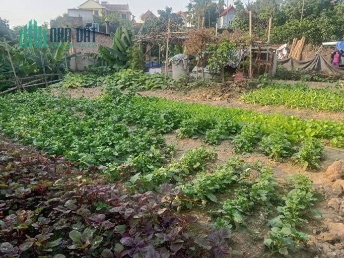 NGÕ THÔNG OTO, TƯƠNG LAI THÀNH PHỐ VEN SÔNG, TẠI HẢI BỐI, DT 55M, MT RỘNG GIÁ HƠN 1 TỶ,