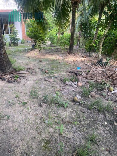 CẦN BÁN NHANH LÔ ĐẤT Hẻm 55 Phạm Hùng, Long Thành Trung, Hoà Thành, Tây Ninh