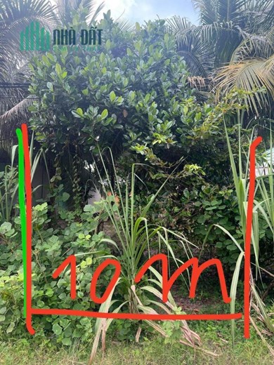 CẦN BÁN NHANH LÔ ĐẤT Hẻm 55 Phạm Hùng, Long Thành Trung, Hoà Thành, Tây Ninh