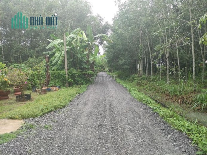 CHÍNH CHỦ BÁN 1478M2 ĐẤT MT SỔ HỒNG RIÊNG GIÁ RẺ TRUNG TÂM LỘC HƯNG-TRẢNG BÀNG