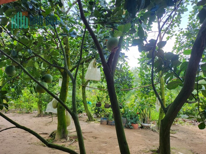 Chính Chủ Bán Đất Tặng Nhà Thổ Cư 300m2 Tại Tiền Giang.