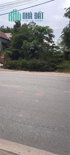 CỰC HIẾM: một lô duy nhất ngay cầu trâu phường ba hàng TP phổ yên gần 200m Ful thổ cư ngay mặt