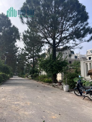 Chính chủ cần bán biệt thự căn C14 The Phoenix Garden, diện tích 400 m2, giá 18 tỷ