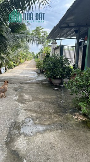 Chính Chủ Cần Bán Gấp Lô Đất Thạnh Phú, Xã Tân Bửu, Huyện Bến Lức