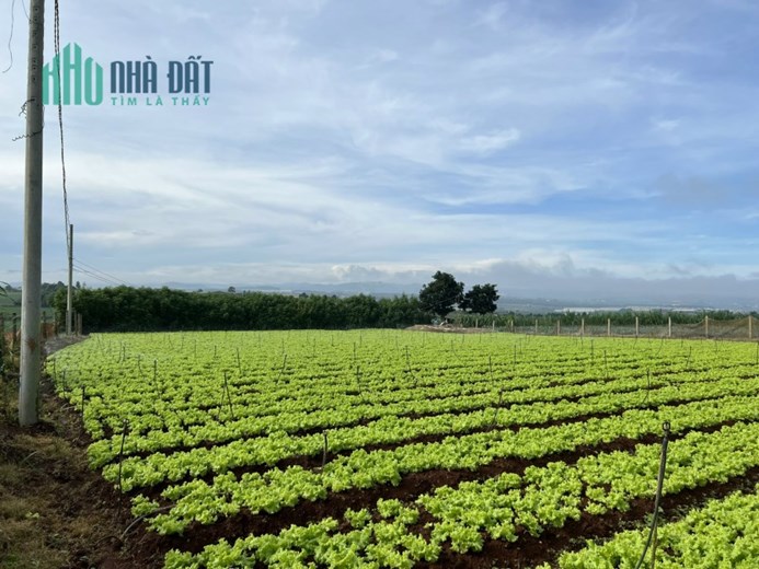 🌺 Một lô đất siêu đẹp có view thoáng mát gần sân Golf