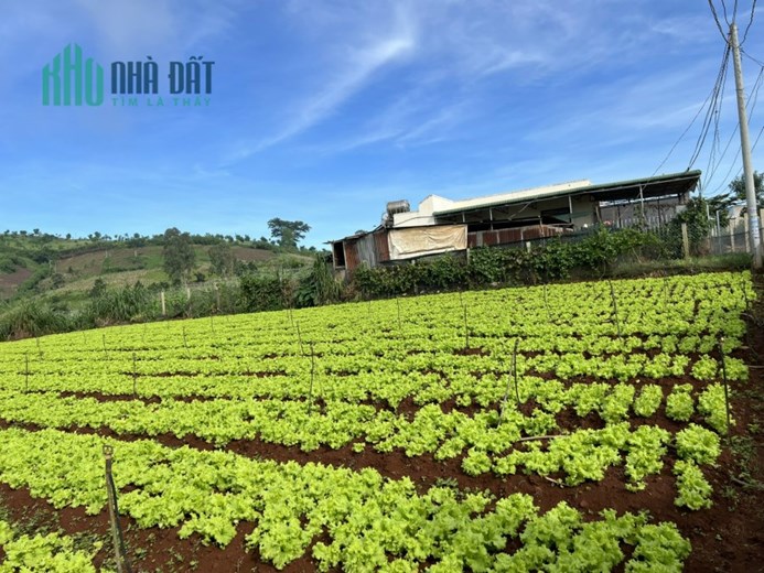 🌺 Một lô đất siêu đẹp có view thoáng mát gần sân Golf