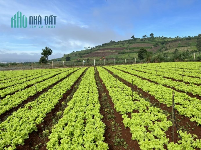🌺 Một lô đất siêu đẹp có view thoáng mát gần sân Golf