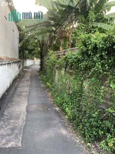 Cần bán đất lô góc 200m2 hẻm 23 Lê Thị Trung, P. Phú Lợi, Thủ Dầu Một 0942 120 292