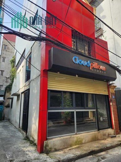 Bán nhà 4 tầng chính chủ phân lô, ô tô vô nhà. Lô góc 3 mặt thoáng dt 60m2 giá 7,9 tỷ