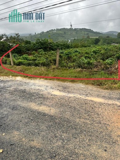 ĐẤT ĐẸP - GIÁ TỐT - Cần Bán Nhanh Lô Đất Vị Trí Đắc Địa Tại Thị Trấn Nam Ban, Lâm Hà, Lâm Đồng