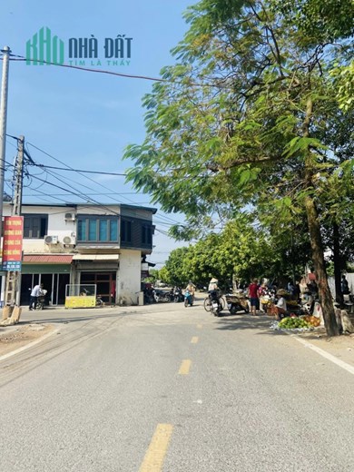 HƠN 60M2 ĐẤT VĨNH NGỌC , ĐÔNG ANH- Ô TÔ ĐỖ CỬA - GẦN CHÂN CẦU NHẬT TÂN -  hơn 2,5TỶ