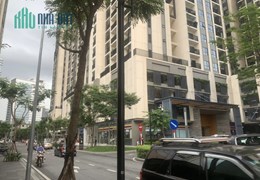 Hiếm Cách Mạng tháng 8 - Quận 10 - 4 tầng - HXH sát Mặt Tiền