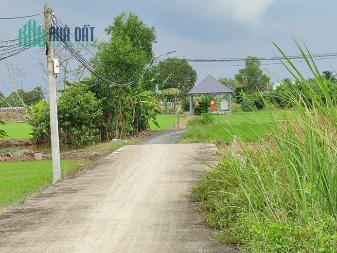 %%CHÍNH CHỦ CẦN BÁN LÔ ĐẤT Ở XÃ LONG CANG – HUYỆN CẦN GIUỘC – LONG AN.