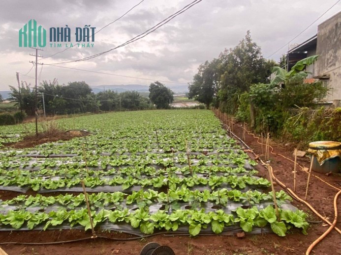 💥 Một lô đất giá thiện chí thương lượng chính chủ, anh chị em không nên bỏ qua 💥
