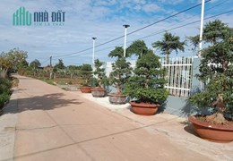 Bán Đất Đẹp Địa Tại Xã Eana, Huyện Krong Ana, Đắk Lắk