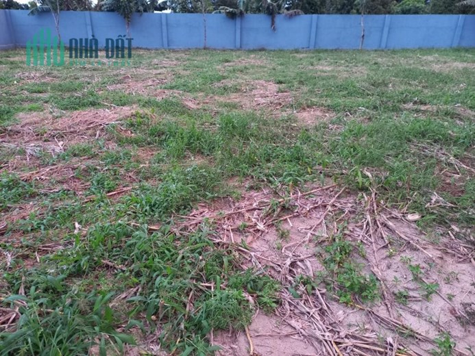 Bán Đất Đẹp Địa Tại Xã Eana, Huyện Krong Ana, Đắk Lắk