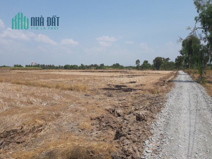 Bán đất "CẦU CÁT LÁT" 1,5tr/m2 đón đầu 2024, QH đất dân cư thổ 100% 0937468139