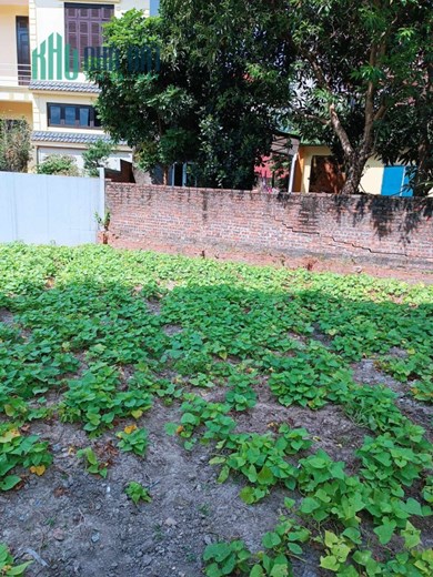 Đất Vân Trì-Vân Nội-Đông Anh-Ngõ Thông Ô Tô-DT 115m²-MT 6m-Nhỉnh 3 tỷ